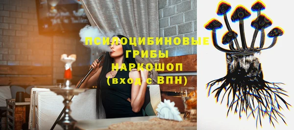 Альфа ПВП Алзамай
