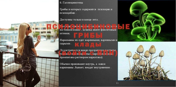гидропоника Абаза