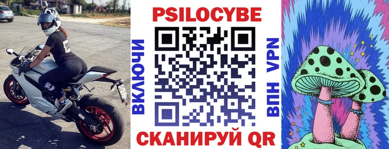 kraken ТОР  Сураж  Галлюциногенные грибы мухоморы 